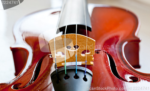 Image of Violin