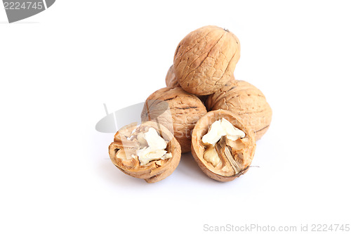 Image of walnut