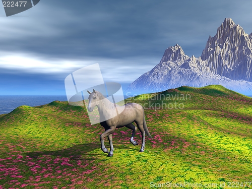 Image of Fantasy Meadow