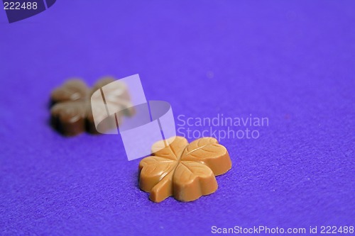 Image of Clover chocolates still life