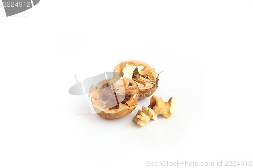 Image of walnut