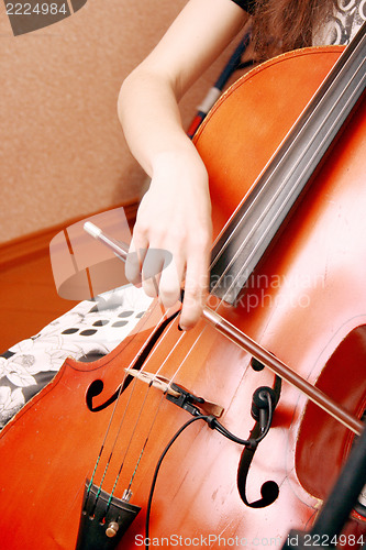 Image of  cello