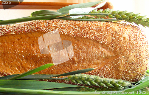 Image of bread & ear