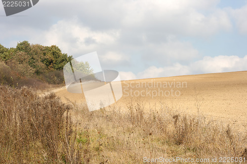 Image of ground