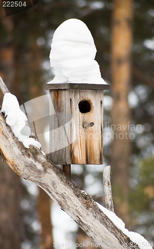 Image of Birdhouses