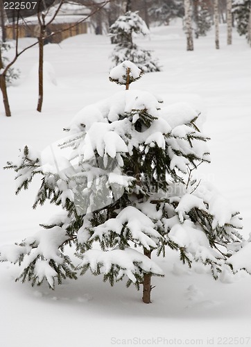 Image of After snowstorm.