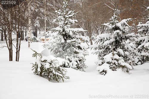 Image of After snowstorm.