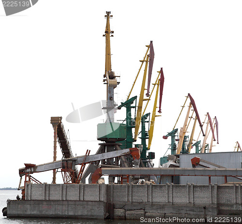 Image of Cranes