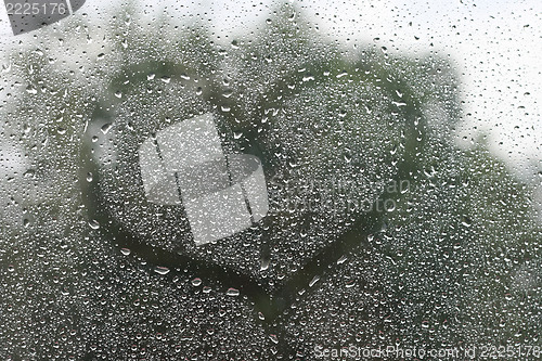 Image of Heart