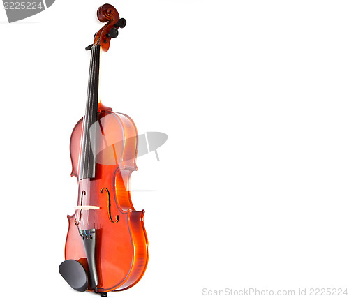 Image of Violin