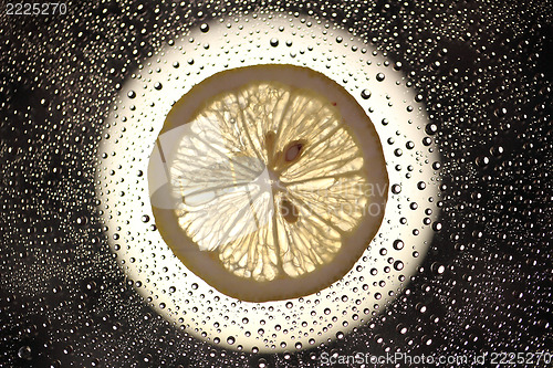 Image of Lemon 