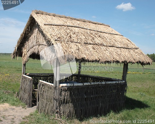 Image of reed