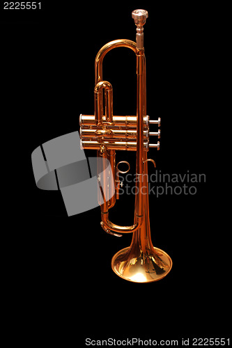 Image of trumpet