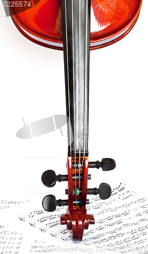 Image of Violin