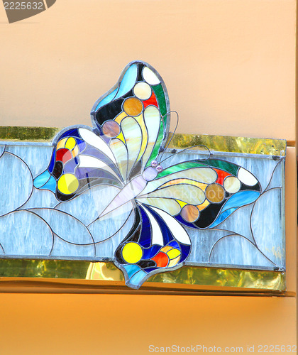 Image of  butterfly