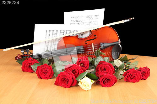Image of red and white roses
