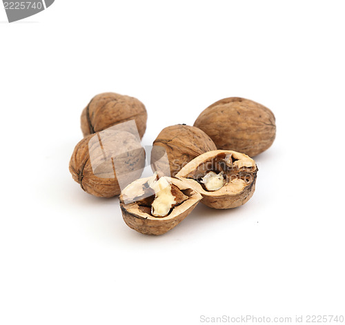 Image of Walnut