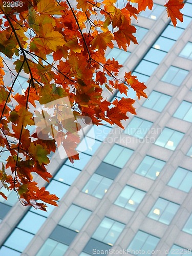 Image of Autumn in a city