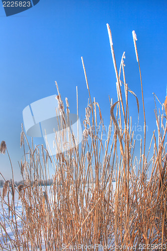 Image of Winter landscape