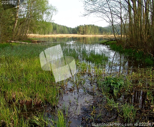 Image of Small Lake