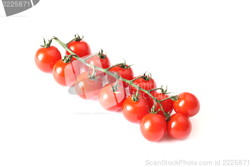 Image of tomatoes