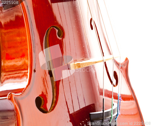 Image of Violin