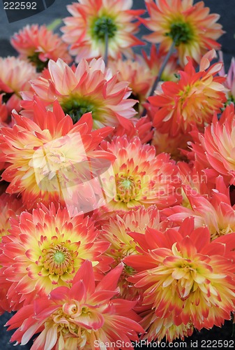 Image of flowers for sale 2