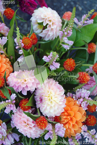 Image of flowers