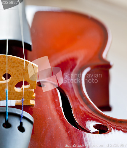Image of Violin