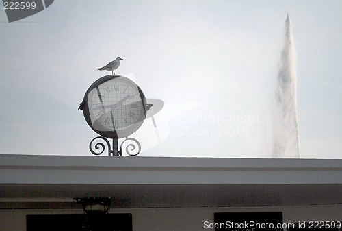 Image of Seagulls at Geneva Lake