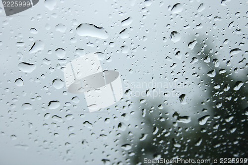 Image of drops 