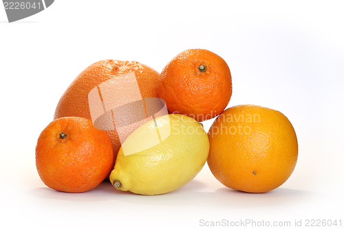 Image of citrus fruit