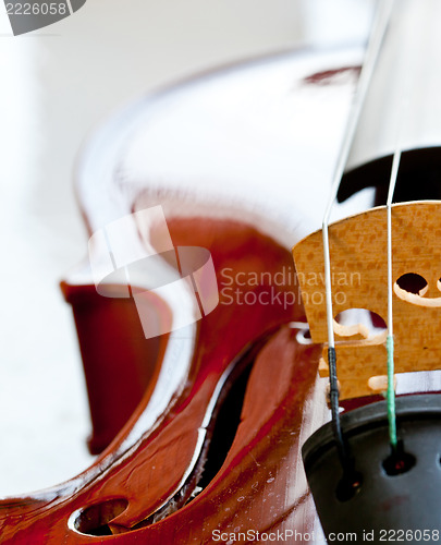 Image of Violin