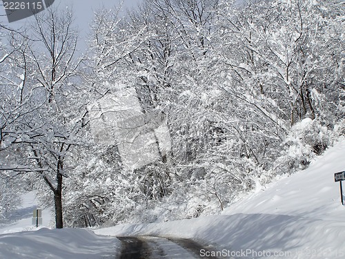 Image of winter landscape