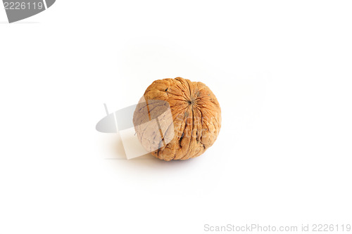 Image of walnut