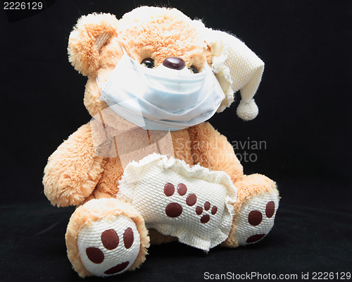 Image of Teddy