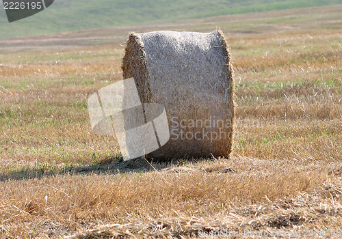 Image of haystack 