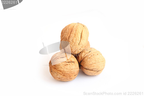 Image of walnut