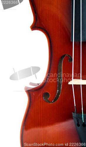 Image of Violin