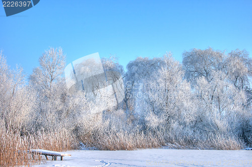 Image of Winter lake