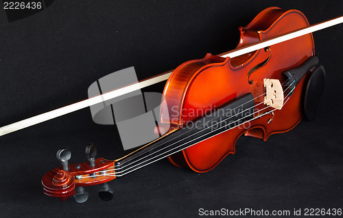 Image of Violin