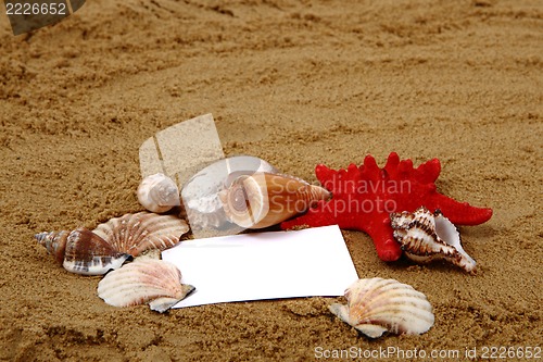 Image of sand, shells and white paper 