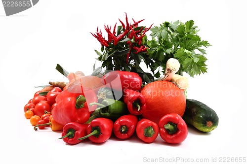 Image of vegetable (chili, tomatoes, pumpkin etc.)