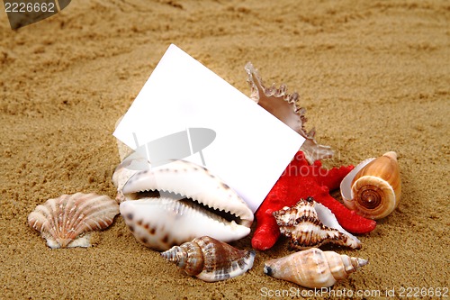 Image of white paper in the sand and shells