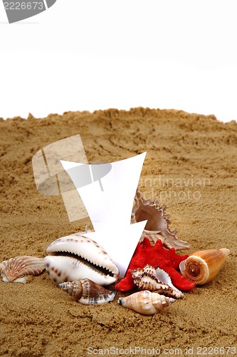 Image of white arrow in the sand and shells