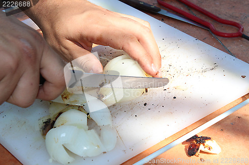 Image of Slicing Onions 