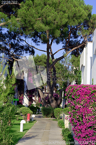 Image of villa