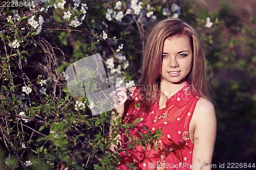 Image of Girl in the flowers of cherry