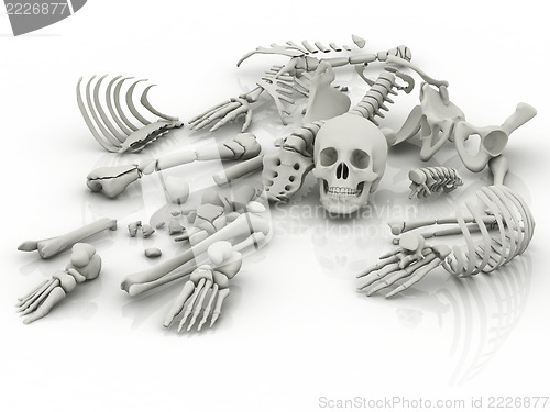 Image of Skeleton parts on the floor