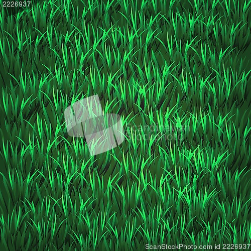 Image of green grass